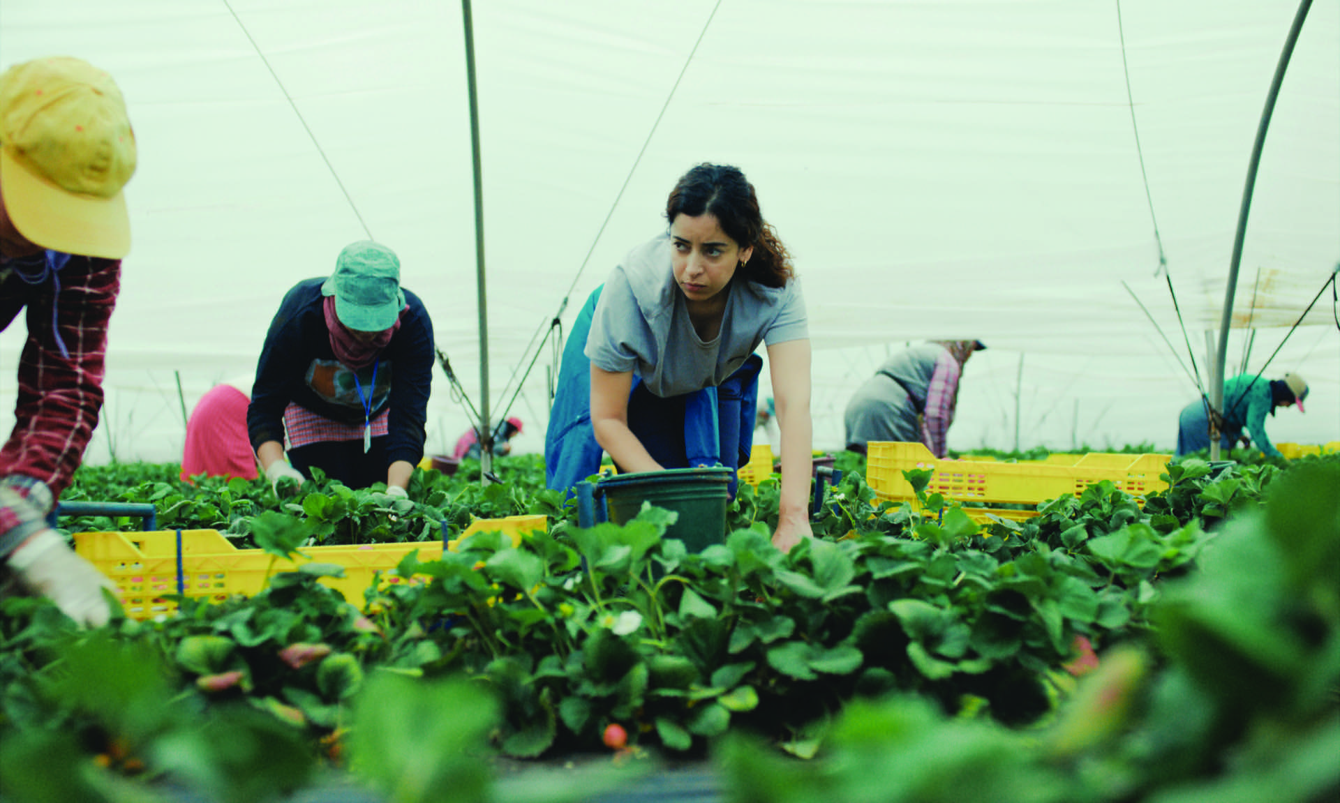Photogramme du film Les Fraises